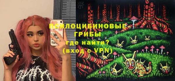 герыч Новозыбков