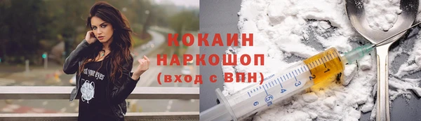 дурь Новодвинск
