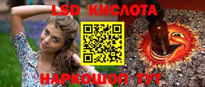 spice Кунгур