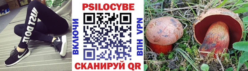 Галлюциногенные грибы прущие грибы  Владивосток 