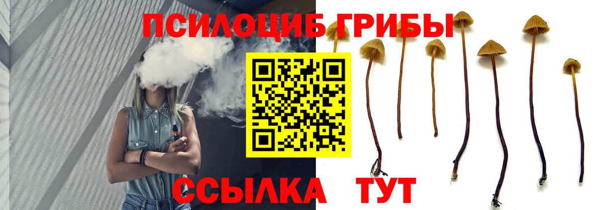 Псилоцибиновые грибы Psilocybine cubensis Владивосток